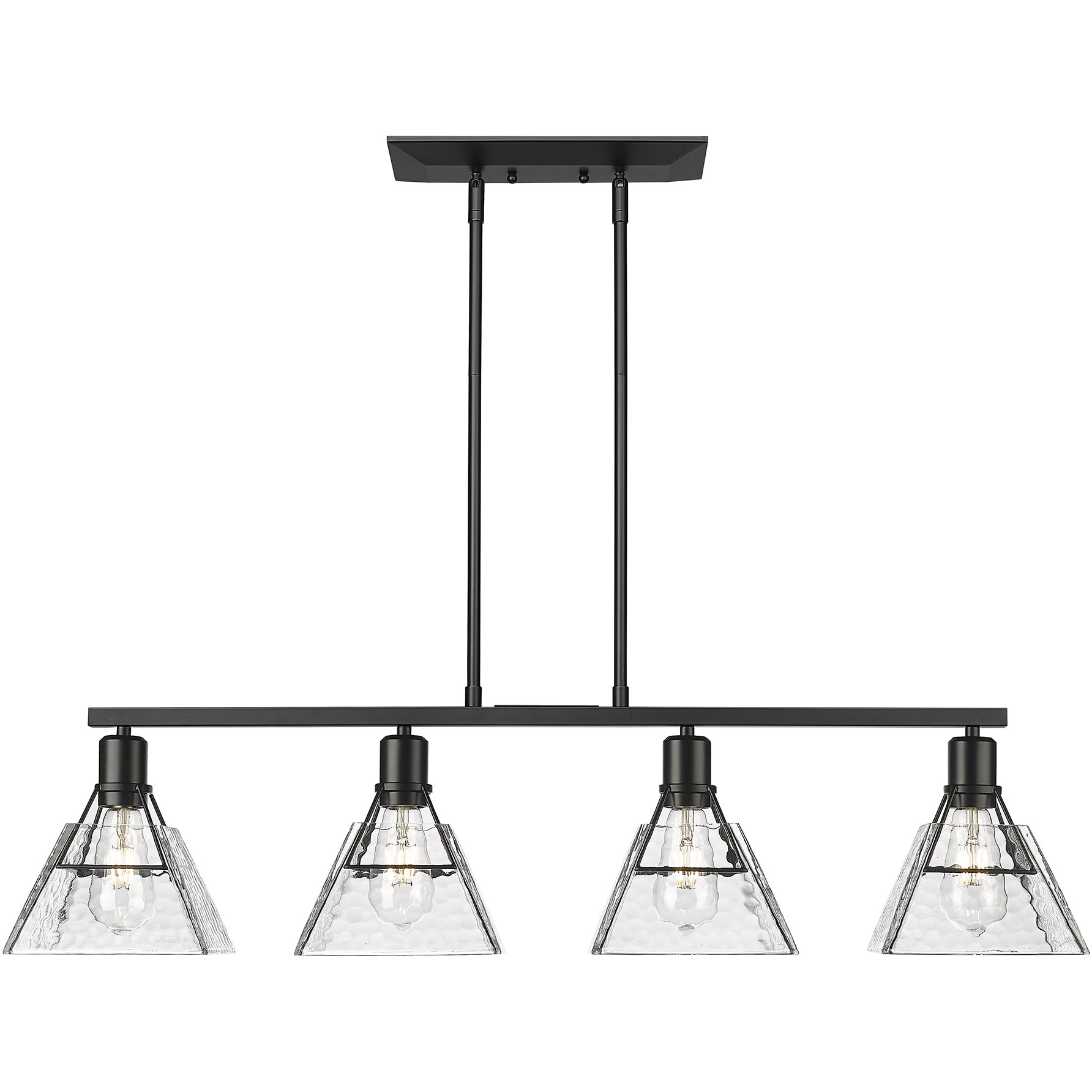 38灯 Black Base Design blacklabel 544B-BK-LED | Z-Lite